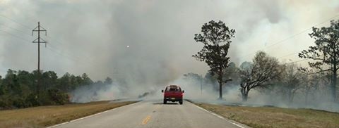 Breaking News Wild Fire Alert On CR 630  & Blue Jordan Forest Areas