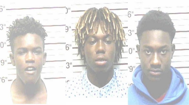 Three Juveniles Arrested in South Lakeland After Fleeing From a Stolen Car