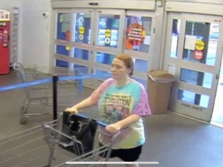 Individual Steals Over $1300 Worth of Items at Winter Haven Walmart