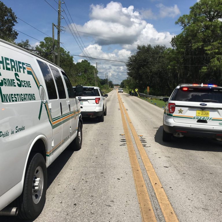 Hit & Run Driver Sought After Body Of 44 Yr Old Woman Found On Reynolds Rd. In Lakeland