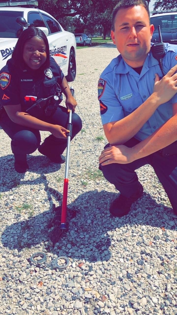 Little Gator Rescued in Lake Maude Nature Park’s Parking Lot