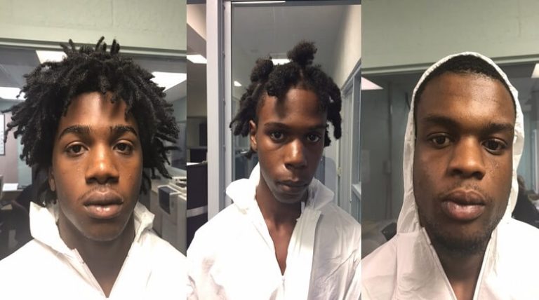 Alert Citizen Interrupts Vehicle Burglaries in Progress – Three From Hillsborough County Arrested