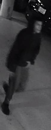 Help Winter Haven Police Identify Car Burglars