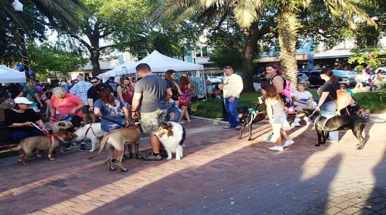 Winter Haven Went To The Dogs With Bark In The Park