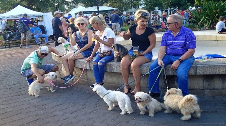 Downtown Winter Haven Goes To The Dogs For Bark In The Park