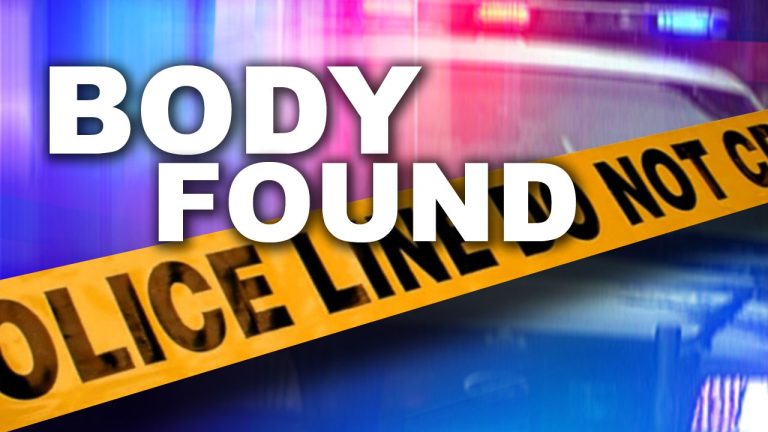 Sheriffs Office Investigating Human Remains Found Off Combee Rd.
