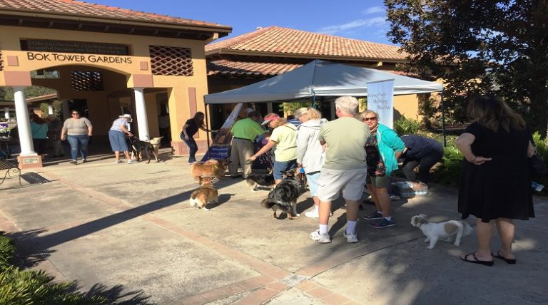 Bok Tower Goes To The Dogs During Dog Days Of Winter