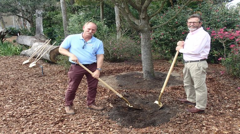 New Oak Tree Planted At Bok Tower Garden After Hurricane Irma