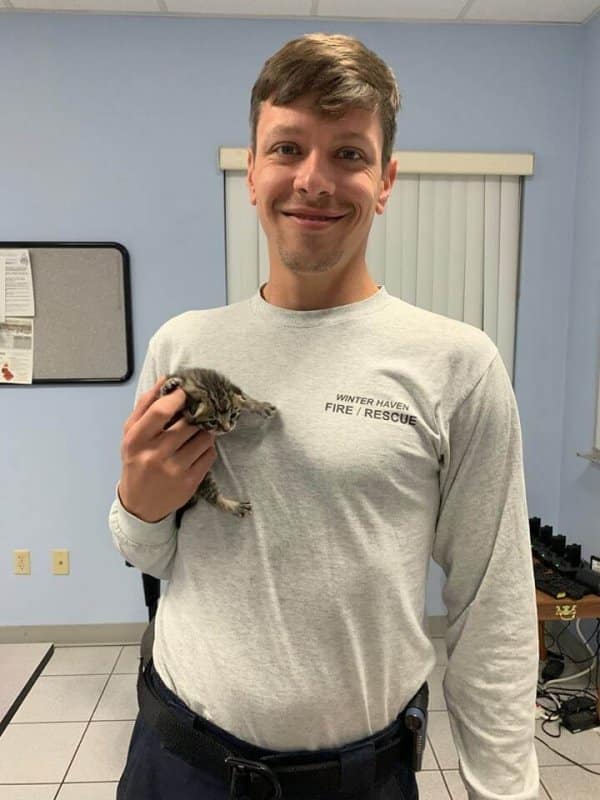 Kitten Saved From Inside Home’s Walls