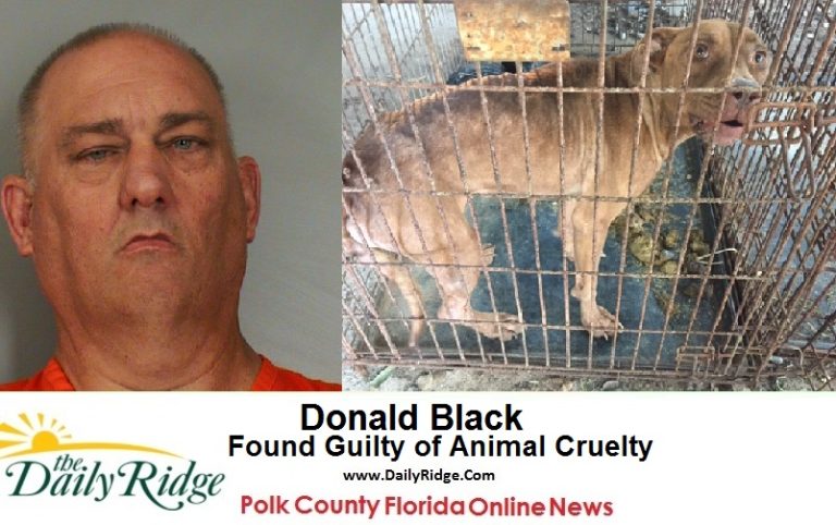 Lakeland Man Found Guilty Of Aggravated Animal Cruelty & Abandonment