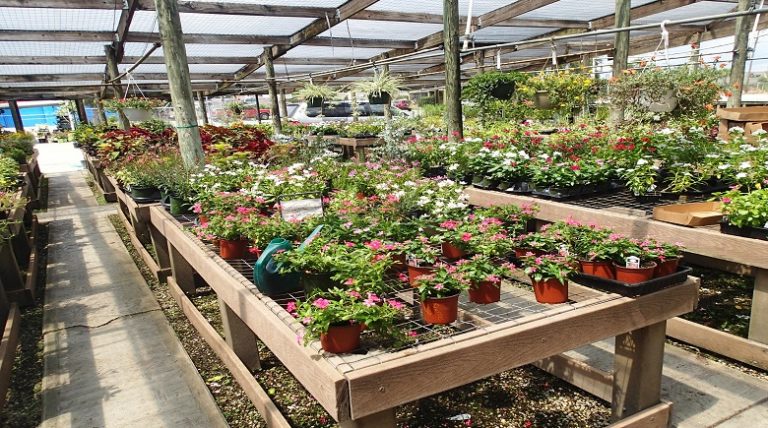 Doty Farm & Garden Supply: Providing Quality Service For Over 60 Years