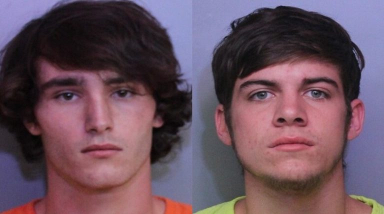 Two Teens Arrested for Vehicle Burglaries in Winter Haven