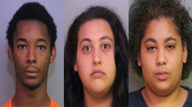 Three Arrested for Grand Theft of Motor Vehicle in Winter Haven