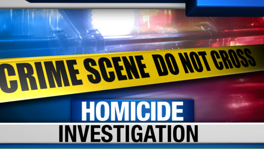 Lakeland Man Found Shot To Death In Alleyway