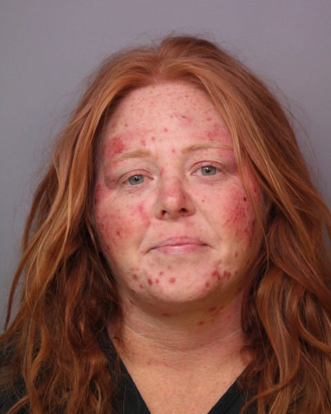 Woman Arrested After Kicking & Biting Lake Hamilton Police Officer