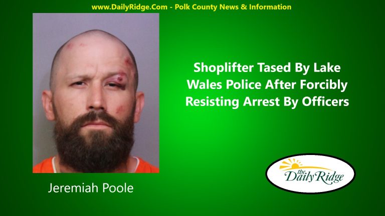 Shoplifting Suspect Tased By Lake Wales Police After Forcibly Resisting Arrest