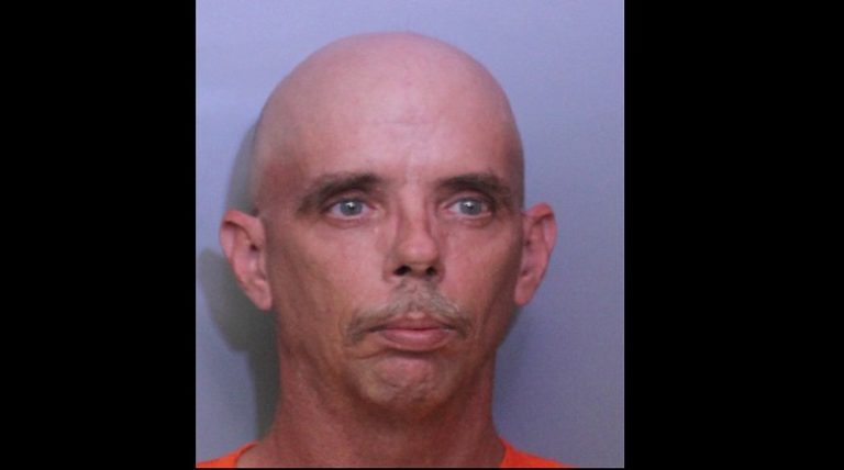 Lakeland Man Arrested for 100 Counts of Child Pornography