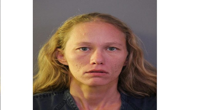 Lake Wales Woman Arrested After Hitting Ex-Husband With Her Car