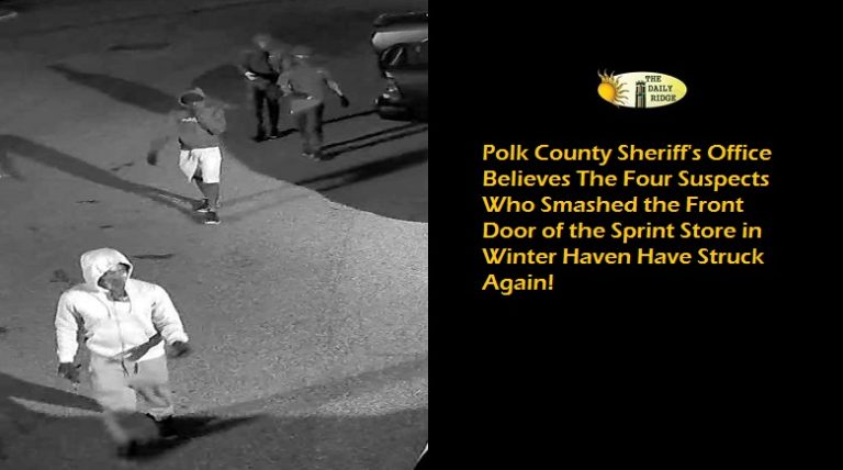 The Polk Sheriffs Office believes four suspects who smashed the front door of the Sprint Store on July 27th in Winter Haven have struck again.