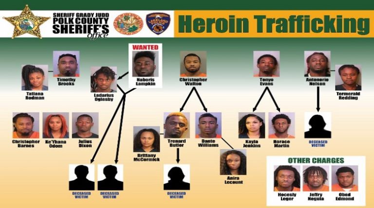 Polk County Sheriff’s Office Arrests 17 Suspects During Undercover Heroin Trafficking Investigation