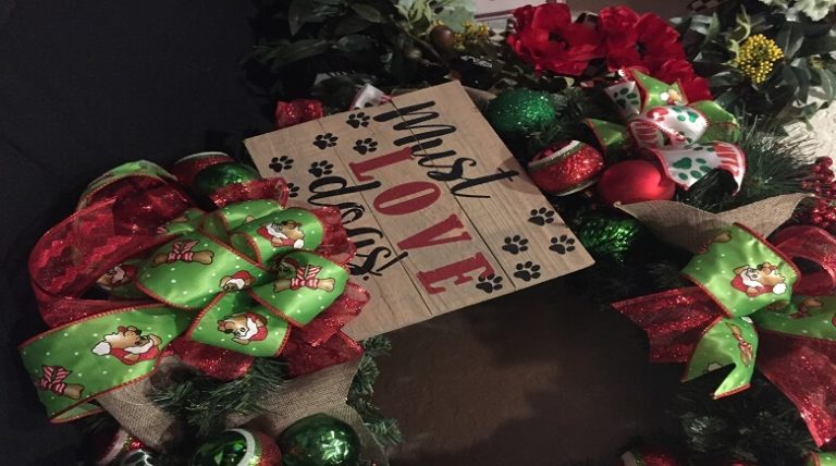 Santa Paws Raises Funds For Humane Society For Third Year