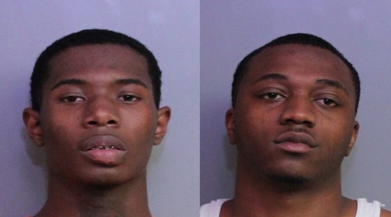 Two Tennessee Men Arrested on Drug and Weapon Charges After Traffic Stop