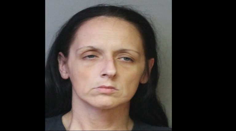 Lakeland Woman Arrested for Stealing Several Identities