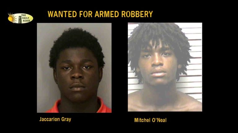 Polk County Sheriff’s Office Seeking Information on Two Robbery Suspects