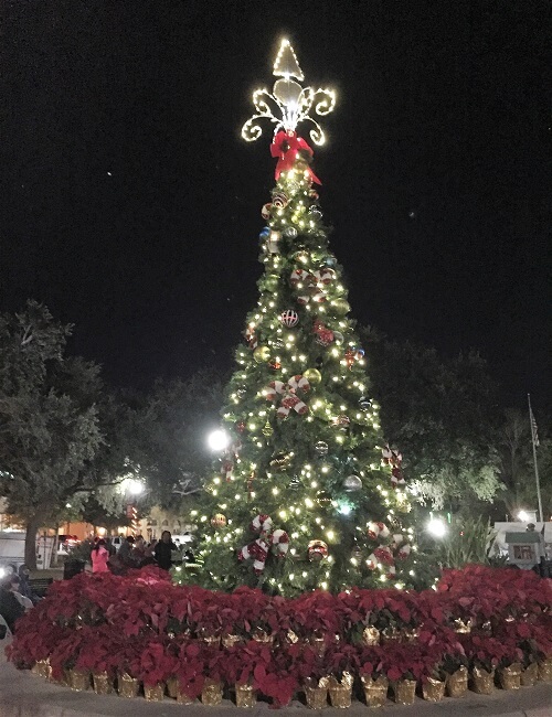 Downtown Winter Haven Lights Up Its Christmas Tree