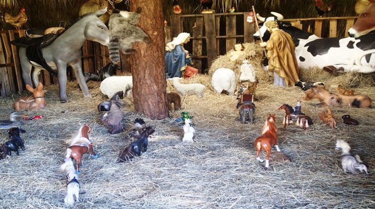 Christmas Nativity At Westgate River Ranch Inspires Christmas Miracles