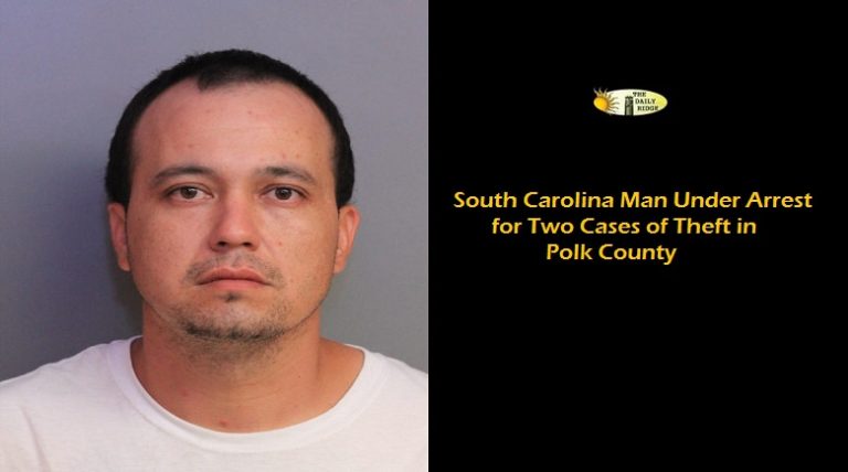 South Carolina Man Arrested for Two Cases of Grand Theft in Polk County