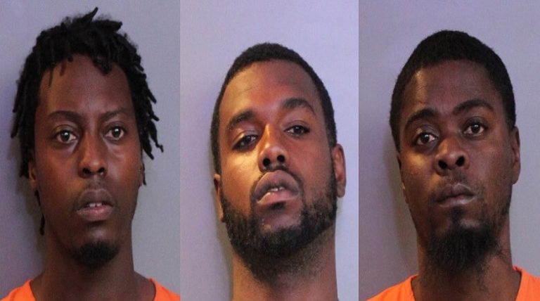 Deputies arrest three Avon Park men who fled traffic stop and attempted to run over a deputy