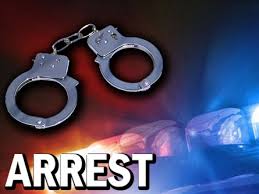 Arrest Made in Numerous Vehicle Burglaries and Grand Theft Auto
