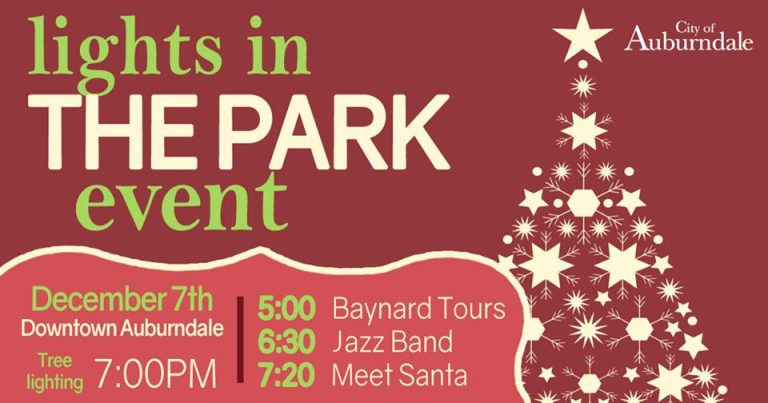 Lights In The Park Event in Auburndale