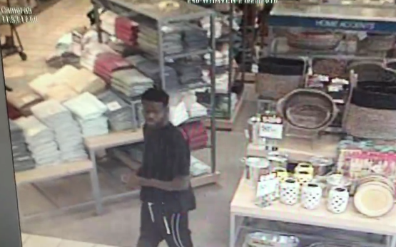 Winter Haven Police Need The Public’s Help Identifying This Purse Snatcher