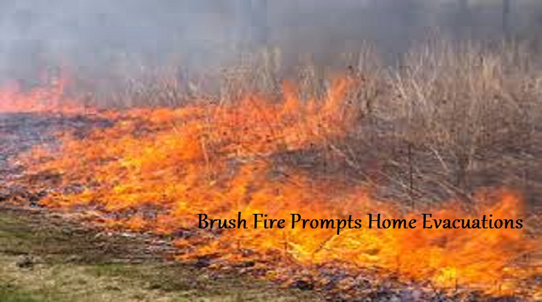 brushfire