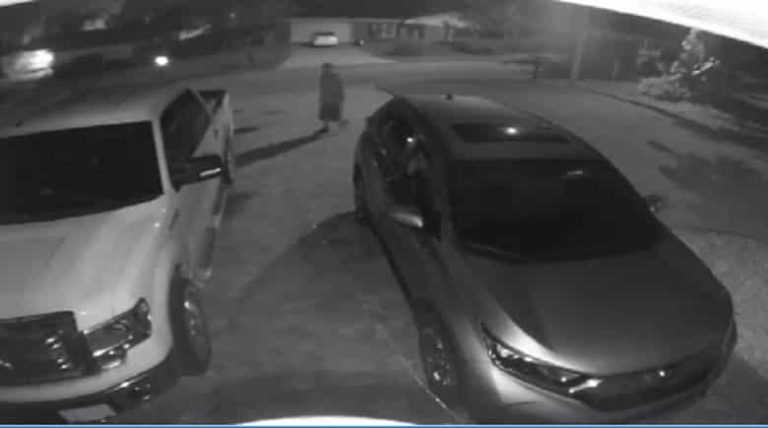 Help Winter Haven Police Department Identify Car Burglar