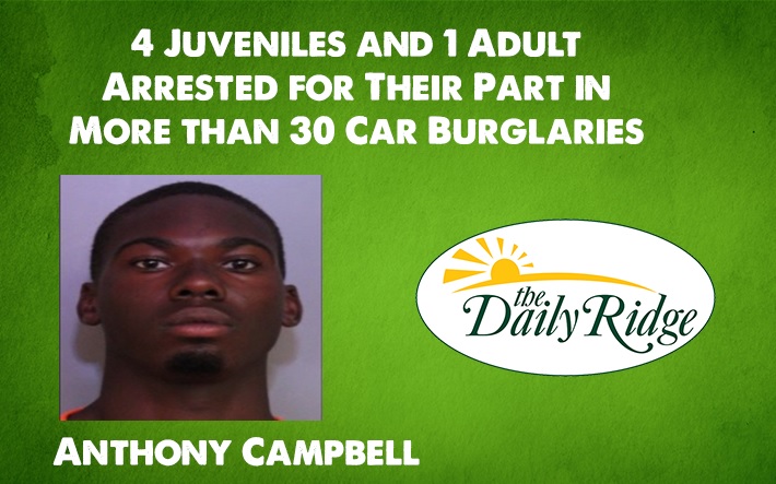 4 Juveniles and 1 Adult Arrested for Their Part in More than 30 Car Burglaries