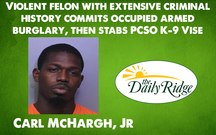 Violent Felon With Extensive Criminal History Commits Occupied Armed Burglary, Then Stabs PCSO K-9 Vise