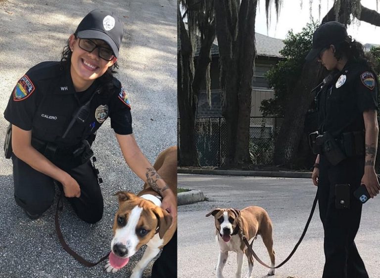 Officer Responds To Civil Dispute Call, Then Adopts Dog That Was To Be Surrendered Due to Living Circumstances