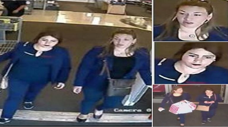 Lakeland Police Need to Identify These Suspects of a Grand Theft