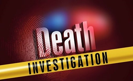 Remains Found Near Fairbanks St and Bella Vista St  – Lakeland PD Investigating