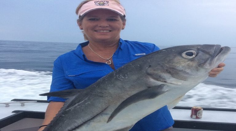 FWC Adds New Category to Florida Saltwater Fishing Records Program