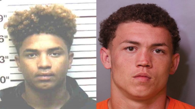 PCSO deputies arrest adult and two juveniles for multiple car burglaries committed in Lakeland area