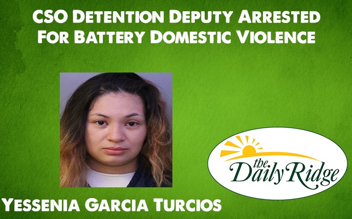 CSO Detention Deputy Arrested For Battery Domestic Violence