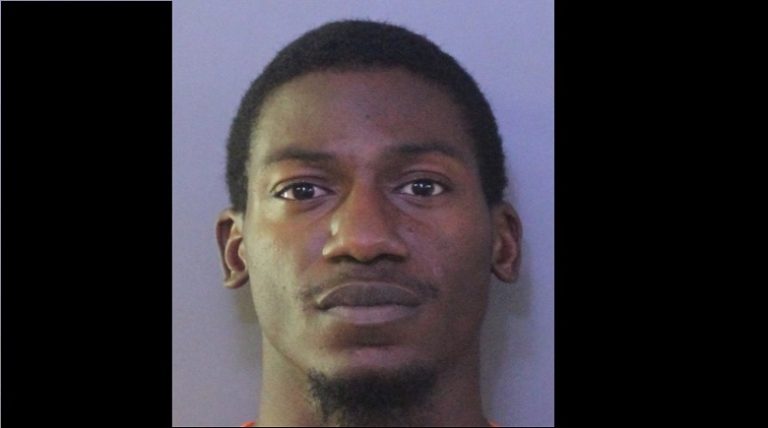 Suspect Arrested for Vehicle Burglaries in Lakeland