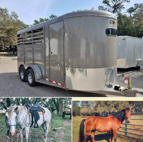 Polk County Sheriff’s Agriculture Crimes Detectives are Seeking Public’s Help in The Theft of Two Horses