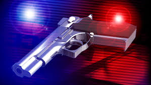 Deputies Conducting Death Investigation After Shots Fired Call In Lakeland Monday