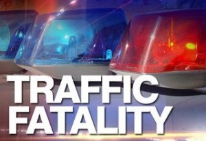 25 Yr Old Polk Man Killed Traffic Crash
