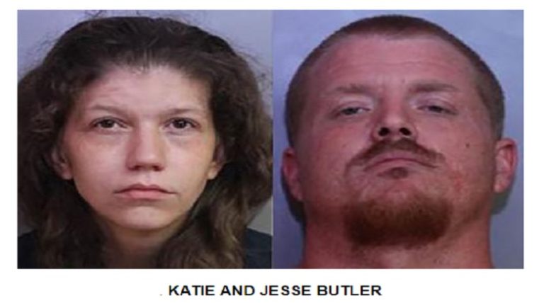 Lake Wales Couple Arrested For Possession of Child Pornography And Methamphetamine
